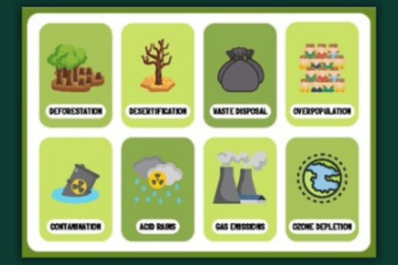 Download English Vocabulary Flashcards - English vocabulary Collection