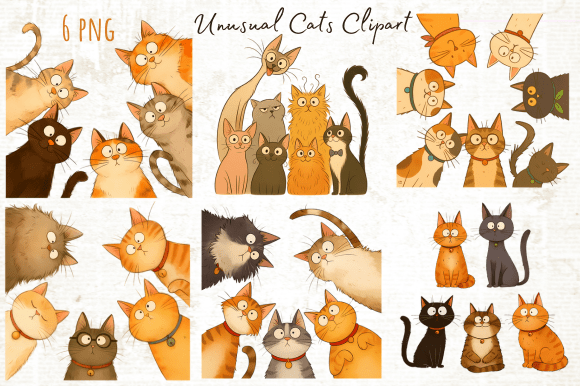 Download Funny Unusual Cats Clipart Png - Fun Collection