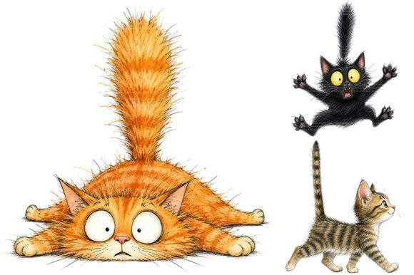 Download Whimsical Funny Cat PNG Bundle - Fun Collection